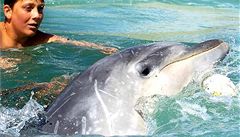 Hravý delfín si oblíbil plavkyni a nechtěl ji pustit